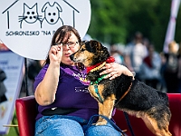 Warszawski Dzień Zwierząt 2019  Warszawa, 18 maja 2019 r. Multimedialny Park Fontann. Organizator - Schronisko dla Bezdomnych Zwierząt "Na Paluchu" : warszawski dzień zwierząt, park fontann, schronisko na paluchu