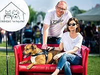 Warszawski Dzień Zwierząt 2019  Warszawa, 18 maja 2019 r. Multimedialny Park Fontann. Organizator - Schronisko dla Bezdomnych Zwierząt "Na Paluchu" : warszawski dzień zwierząt, park fontann, schronisko na paluchu