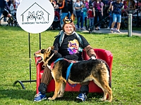 Warszawski Dzień Zwierząt 2019  Warszawa, 18 maja 2019 r. Multimedialny Park Fontann. Organizator - Schronisko dla Bezdomnych Zwierząt "Na Paluchu" : warszawski dzień zwierząt, park fontann, schronisko na paluchu