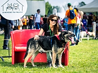 Warszawski Dzień Zwierząt 2019  Warszawa, 18 maja 2019 r. Multimedialny Park Fontann. Organizator - Schronisko dla Bezdomnych Zwierząt "Na Paluchu" : warszawski dzień zwierząt, park fontann, schronisko na paluchu