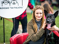 Warszawski Dzień Zwierząt 2019  Warszawa, 18 maja 2019 r. Multimedialny Park Fontann. Organizator - Schronisko dla Bezdomnych Zwierząt "Na Paluchu" : warszawski dzień zwierząt, park fontann, schronisko na paluchu