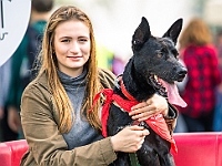 Warszawski Dzień Zwierząt 2019  Warszawa, 18 maja 2019 r. Multimedialny Park Fontann. Organizator - Schronisko dla Bezdomnych Zwierząt "Na Paluchu" : warszawski dzień zwierząt, park fontann, schronisko na paluchu