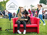 Warszawski Dzień Zwierząt 2019  Warszawa, 18 maja 2019 r. Multimedialny Park Fontann. Organizator - Schronisko dla Bezdomnych Zwierząt "Na Paluchu" : warszawski dzień zwierząt, park fontann, schronisko na paluchu