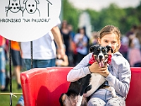 Warszawski Dzień Zwierząt 2019  Warszawa, 18 maja 2019 r. Multimedialny Park Fontann. Organizator - Schronisko dla Bezdomnych Zwierząt "Na Paluchu" : warszawski dzień zwierząt, park fontann, schronisko na paluchu