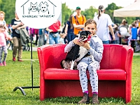 Warszawski Dzień Zwierząt 2019  Warszawa, 18 maja 2019 r. Multimedialny Park Fontann. Organizator - Schronisko dla Bezdomnych Zwierząt "Na Paluchu" : warszawski dzień zwierząt, park fontann, schronisko na paluchu