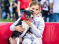 Warszawski Dzień Zwierząt 2019  Warszawa, 18 maja 2019 r. Multimedialny Park Fontann. Organizator - Schronisko dla Bezdomnych Zwierząt "Na Paluchu" : warszawski dzień zwierząt, park fontann, schronisko na paluchu
