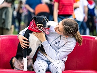 Warszawski Dzień Zwierząt 2019  Warszawa, 18 maja 2019 r. Multimedialny Park Fontann. Organizator - Schronisko dla Bezdomnych Zwierząt "Na Paluchu" : warszawski dzień zwierząt, park fontann, schronisko na paluchu