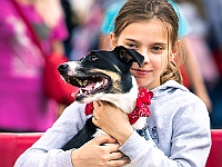 Warszawski Dzień Zwierząt 2019  Warszawa, 18 maja 2019 r. Multimedialny Park Fontann. Organizator - Schronisko dla Bezdomnych Zwierząt "Na Paluchu" : warszawski dzień zwierząt, park fontann, schronisko na paluchu