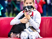 Warszawski Dzień Zwierząt 2019  Warszawa, 18 maja 2019 r. Multimedialny Park Fontann. Organizator - Schronisko dla Bezdomnych Zwierząt "Na Paluchu" : warszawski dzień zwierząt, park fontann, schronisko na paluchu