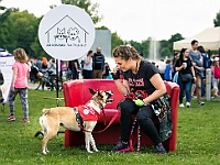 Warszawski Dzień Zwierząt 2019  Warszawa, 18 maja 2019 r. Multimedialny Park Fontann. Organizator - Schronisko dla Bezdomnych Zwierząt "Na Paluchu" : warszawski dzień zwierząt, park fontann, schronisko na paluchu