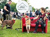Warszawski Dzień Zwierząt 2019  Warszawa, 18 maja 2019 r. Multimedialny Park Fontann. Organizator - Schronisko dla Bezdomnych Zwierząt "Na Paluchu" : warszawski dzień zwierząt, park fontann, schronisko na paluchu