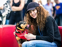 Warszawski Dzień Zwierząt 2019  Warszawa, 18 maja 2019 r. Multimedialny Park Fontann. Organizator - Schronisko dla Bezdomnych Zwierząt "Na Paluchu" : warszawski dzień zwierząt, park fontann, schronisko na paluchu