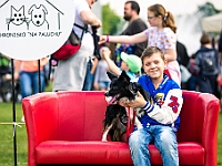 Warszawski Dzień Zwierząt 2019  Warszawa, 18 maja 2019 r. Multimedialny Park Fontann. Organizator - Schronisko dla Bezdomnych Zwierząt "Na Paluchu" : warszawski dzień zwierząt, park fontann, schronisko na paluchu