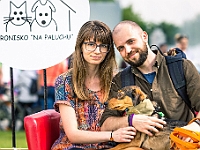 Warszawski Dzień Zwierząt 2019  Warszawa, 18 maja 2019 r. Multimedialny Park Fontann. Organizator - Schronisko dla Bezdomnych Zwierząt "Na Paluchu" : warszawski dzień zwierząt, park fontann, schronisko na paluchu