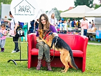 Warszawski Dzień Zwierząt 2019  Warszawa, 18 maja 2019 r. Multimedialny Park Fontann. Organizator - Schronisko dla Bezdomnych Zwierząt "Na Paluchu" : warszawski dzień zwierząt, park fontann, schronisko na paluchu