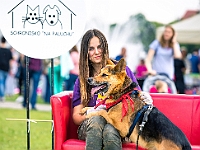 Warszawski Dzień Zwierząt 2019  Warszawa, 18 maja 2019 r. Multimedialny Park Fontann. Organizator - Schronisko dla Bezdomnych Zwierząt "Na Paluchu" : warszawski dzień zwierząt, park fontann, schronisko na paluchu