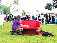 Warszawski Dzień Zwierząt 2019  Warszawa, 18 maja 2019 r. Multimedialny Park Fontann. Organizator - Schronisko dla Bezdomnych Zwierząt "Na Paluchu" : warszawski dzień zwierząt, park fontann, schronisko na paluchu