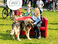 Warszawski Dzień Zwierząt 2019  Warszawa, 18 maja 2019 r. Multimedialny Park Fontann. Organizator - Schronisko dla Bezdomnych Zwierząt "Na Paluchu" : warszawski dzień zwierząt, park fontann, schronisko na paluchu