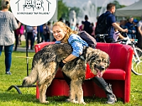 Warszawski Dzień Zwierząt 2019  Warszawa, 18 maja 2019 r. Multimedialny Park Fontann. Organizator - Schronisko dla Bezdomnych Zwierząt "Na Paluchu" : warszawski dzień zwierząt, park fontann, schronisko na paluchu