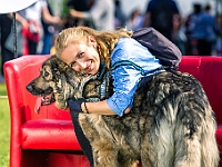 Warszawski Dzień Zwierząt 2019  Warszawa, 18 maja 2019 r. Multimedialny Park Fontann. Organizator - Schronisko dla Bezdomnych Zwierząt "Na Paluchu" : warszawski dzień zwierząt, park fontann, schronisko na paluchu