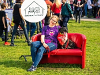 Warszawski Dzień Zwierząt 2019  Warszawa, 18 maja 2019 r. Multimedialny Park Fontann. Organizator - Schronisko dla Bezdomnych Zwierząt "Na Paluchu" : warszawski dzień zwierząt, park fontann, schronisko na paluchu