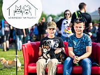 Warszawski Dzień Zwierząt 2019  Warszawa, 18 maja 2019 r. Multimedialny Park Fontann. Organizator - Schronisko dla Bezdomnych Zwierząt "Na Paluchu" : warszawski dzień zwierząt, park fontann, schronisko na paluchu