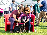 Warszawski Dzień Zwierząt 2019  Warszawa, 18 maja 2019 r. Multimedialny Park Fontann. Organizator - Schronisko dla Bezdomnych Zwierząt "Na Paluchu" : warszawski dzień zwierząt, park fontann, schronisko na paluchu
