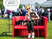 Warszawski Dzień Zwierząt 2019  Warszawa, 18 maja 2019 r. Multimedialny Park Fontann. Organizator - Schronisko dla Bezdomnych Zwierząt "Na Paluchu" : warszawski dzień zwierząt, park fontann, schronisko na paluchu