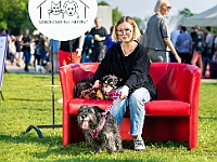 Warszawski Dzień Zwierząt 2019  Warszawa, 18 maja 2019 r. Multimedialny Park Fontann. Organizator - Schronisko dla Bezdomnych Zwierząt "Na Paluchu" : warszawski dzień zwierząt, park fontann, schronisko na paluchu