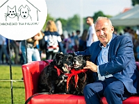 Warszawski Dzień Zwierząt 2019  Warszawa, 18 maja 2019 r. Multimedialny Park Fontann. Organizator - Schronisko dla Bezdomnych Zwierząt "Na Paluchu" : warszawski dzień zwierząt, park fontann, schronisko na paluchu