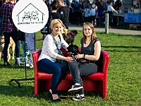 Warszawski Dzień Zwierząt 2019  Warszawa, 18 maja 2019 r. Multimedialny Park Fontann. Organizator - Schronisko dla Bezdomnych Zwierząt "Na Paluchu" : warszawski dzień zwierząt, park fontann, schronisko na paluchu