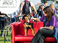 Warszawski Dzień Zwierząt 2019  Warszawa, 18 maja 2019 r. Multimedialny Park Fontann. Organizator - Schronisko dla Bezdomnych Zwierząt "Na Paluchu" : warszawski dzień zwierząt, park fontann, schronisko na paluchu