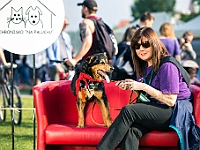 Warszawski Dzień Zwierząt 2019  Warszawa, 18 maja 2019 r. Multimedialny Park Fontann. Organizator - Schronisko dla Bezdomnych Zwierząt "Na Paluchu" : warszawski dzień zwierząt, park fontann, schronisko na paluchu