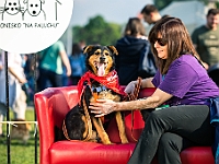 Warszawski Dzień Zwierząt 2019  Warszawa, 18 maja 2019 r. Multimedialny Park Fontann. Organizator - Schronisko dla Bezdomnych Zwierząt "Na Paluchu" : warszawski dzień zwierząt, park fontann, schronisko na paluchu