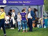 Warszawski Dzień Zwierząt 2019  Warszawa, 18 maja 2019 r. Multimedialny Park Fontann. Organizator - Schronisko dla Bezdomnych Zwierząt "Na Paluchu" : warszawski dzień zwierząt, park fontann, schronisko na paluchu