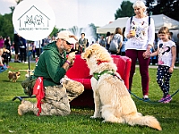 Warszawski Dzień Zwierząt 2019  Warszawa, 18 maja 2019 r. Multimedialny Park Fontann. Organizator - Schronisko dla Bezdomnych Zwierząt "Na Paluchu" : warszawski dzień zwierząt, park fontann, schronisko na paluchu