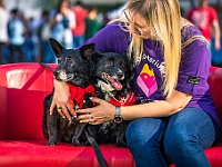 Warszawski Dzień Zwierząt 2019  Warszawa, 18 maja 2019 r. Multimedialny Park Fontann. Organizator - Schronisko dla Bezdomnych Zwierząt "Na Paluchu" : warszawski dzień zwierząt, park fontann, schronisko na paluchu