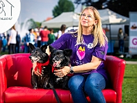 Warszawski Dzień Zwierząt 2019  Warszawa, 18 maja 2019 r. Multimedialny Park Fontann. Organizator - Schronisko dla Bezdomnych Zwierząt "Na Paluchu" : warszawski dzień zwierząt, park fontann, schronisko na paluchu