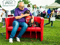 Warszawski Dzień Zwierząt 2019  Warszawa, 18 maja 2019 r. Multimedialny Park Fontann. Organizator - Schronisko dla Bezdomnych Zwierząt "Na Paluchu" : warszawski dzień zwierząt, park fontann, schronisko na paluchu
