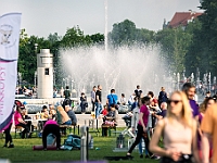 Warszawski Dzień Zwierząt 2019  Warszawa, 18 maja 2019 r. Multimedialny Park Fontann. Organizator - Schronisko dla Bezdomnych Zwierząt "Na Paluchu" : warszawski dzień zwierząt, park fontann, schronisko na paluchu