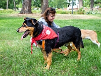 Adoptuj Warszawiaka  Kolejne wydarzenie promujące adopcję zwierząt zorganizowane przez pracowików i wolontariuszy Schroniska dla Bezdomnych Zwierząt "Na Paluchu".  Park Miejski w Piasecznie, 21 lipca 2019 r. : park miejski, piaseczno, na paluchu, schronisko dla zwierząt, adoptuj warszawiaka