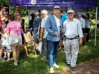 Adoptuj Warszawiaka  Kolejne wydarzenie promujące adopcję zwierząt zorganizowane przez pracowików i wolontariuszy Schroniska dla Bezdomnych Zwierząt "Na Paluchu".  Park Miejski w Piasecznie, 21 lipca 2019 r. : park miejski, piaseczno, na paluchu, schronisko dla zwierząt, adoptuj warszawiaka