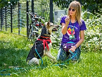 Adoptuj Warszawiaka  Kolejne wydarzenie promujące adopcję zwierząt zorganizowane przez pracowików i wolontariuszy Schroniska dla Bezdomnych Zwierząt "Na Paluchu".  Park Miejski w Piasecznie, 21 lipca 2019 r. : park miejski, piaseczno, na paluchu, schronisko dla zwierząt, adoptuj warszawiaka