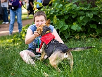 Adoptuj Warszawiaka  Kolejne wydarzenie promujące adopcję zwierząt zorganizowane przez pracowików i wolontariuszy Schroniska dla Bezdomnych Zwierząt "Na Paluchu".  Park Miejski w Piasecznie, 21 lipca 2019 r. : park miejski, piaseczno, na paluchu, schronisko dla zwierząt, adoptuj warszawiaka
