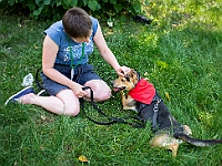 Adoptuj Warszawiaka  Kolejne wydarzenie promujące adopcję zwierząt zorganizowane przez pracowików i wolontariuszy Schroniska dla Bezdomnych Zwierząt "Na Paluchu".  Park Miejski w Piasecznie, 21 lipca 2019 r. : park miejski, piaseczno, na paluchu, schronisko dla zwierząt, adoptuj warszawiaka