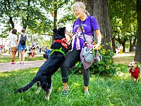 Adoptuj Warszawiaka  Kolejne wydarzenie promujące adopcję zwierząt zorganizowane przez pracowików i wolontariuszy Schroniska dla Bezdomnych Zwierząt "Na Paluchu".  Park Miejski w Piasecznie, 21 lipca 2019 r. : park miejski, piaseczno, na paluchu, schronisko dla zwierząt, adoptuj warszawiaka