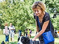 Adoptuj Warszawiaka  Kolejne wydarzenie promujące adopcję zwierząt zorganizowane przez pracowików i wolontariuszy Schroniska dla Bezdomnych Zwierząt "Na Paluchu".  Park Miejski w Piasecznie, 21 lipca 2019 r. : park miejski, piaseczno, na paluchu, schronisko dla zwierząt, adoptuj warszawiaka