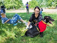 Adoptuj Warszawiaka  Kolejne wydarzenie promujące adopcję zwierząt zorganizowane przez pracowików i wolontariuszy Schroniska dla Bezdomnych Zwierząt "Na Paluchu".  Park Miejski w Piasecznie, 21 lipca 2019 r. : park miejski, piaseczno, na paluchu, schronisko dla zwierząt, adoptuj warszawiaka