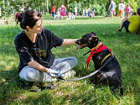 Adoptuj Warszawiaka  Kolejne wydarzenie promujące adopcję zwierząt zorganizowane przez pracowików i wolontariuszy Schroniska dla Bezdomnych Zwierząt "Na Paluchu".  Park Miejski w Piasecznie, 21 lipca 2019 r. : park miejski, piaseczno, na paluchu, schronisko dla zwierząt, adoptuj warszawiaka