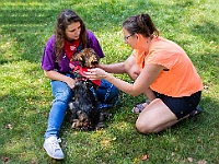 Adoptuj Warszawiaka  Kolejne wydarzenie promujące adopcję zwierząt zorganizowane przez pracowików i wolontariuszy Schroniska dla Bezdomnych Zwierząt "Na Paluchu".  Park Miejski w Piasecznie, 21 lipca 2019 r. : park miejski, piaseczno, na paluchu, schronisko dla zwierząt, adoptuj warszawiaka